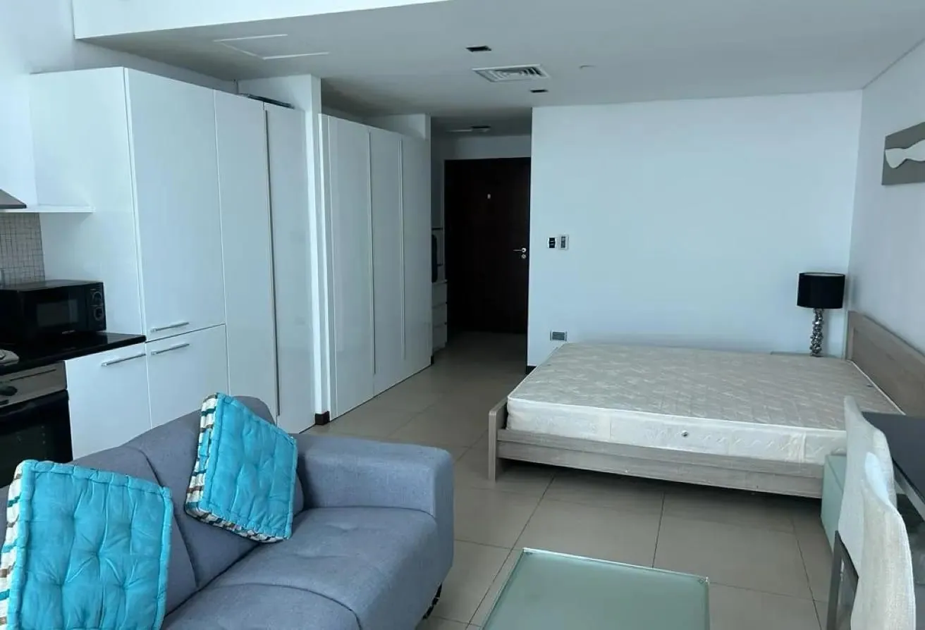 Rented Studio with good yield opp to Metro